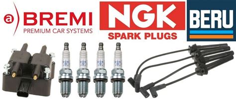 Bremi Ignition Coil Beru Ignition Wire Set Set Of 4 NGK Spark Plug