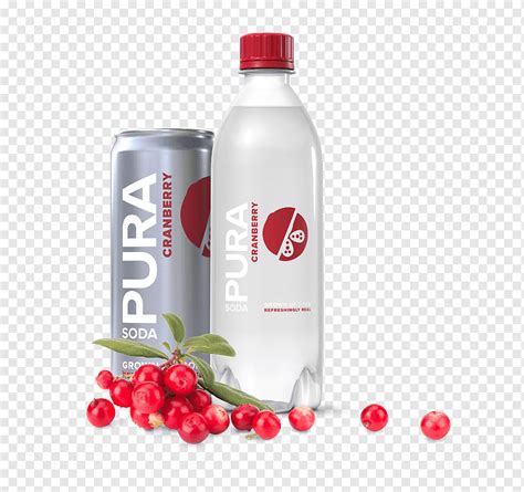 Газированные напитки Пластиковая бутылка Сок Жидкий, бутылка, цвет ...