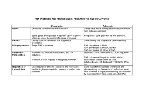 Comparison Of Rna Synthesis Processing In Eukaryotes Vs Prokaryotes Rna Synthesis And