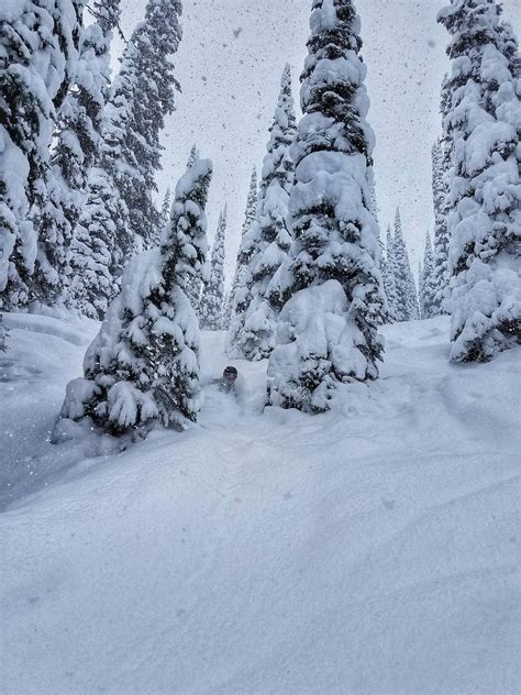 364 best Whitefish images on Pholder | Flyfishing, Skiing and Fishing