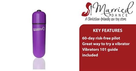 60 Day Risk Free Bullet Vibrator Pilot Program Christian Sex Toy Store