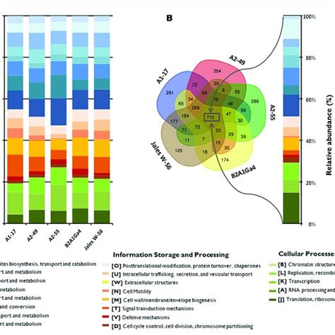 Distribution And Comparison Of COG Functional Categories In The