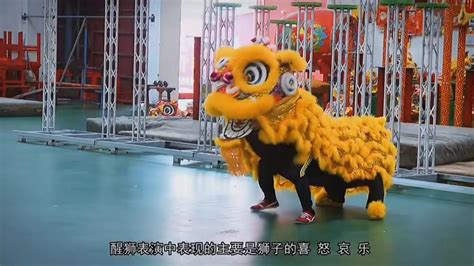 醒獅表情動作步法介紹 傳統技藝 Liondance 醒獅 打鼓 舞獅 Martialart Wushu Kungfu