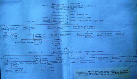 Mitchell Family Tree Belfast Distillers – Mitchell & Co of Belfast Ltd ...