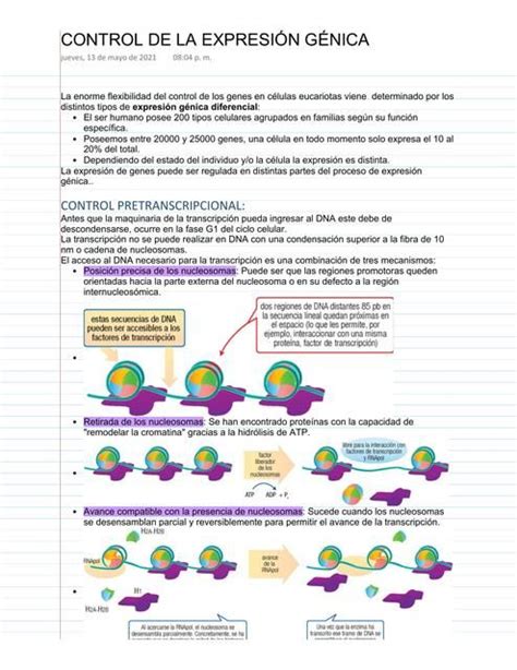 Control de la Expresión Génica Medicina zip uDocz