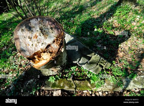 Abandoned Cemetery Castolovice Ceska Lipa Czech Republic The