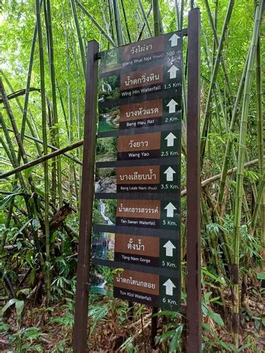 Best Hikes And Trails In Khao Sok National Park Alltrails