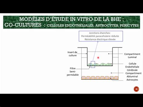 AMUpod Diu Immunopathologie Neuroimmunologie Introd