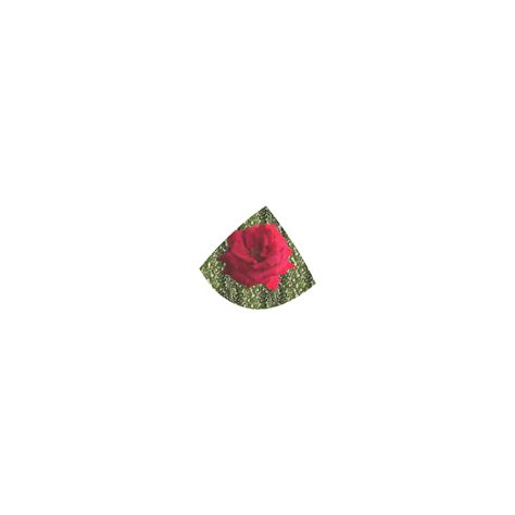 Red Roses Baby S Breath Custom Bikini Swimsuit ID D365155