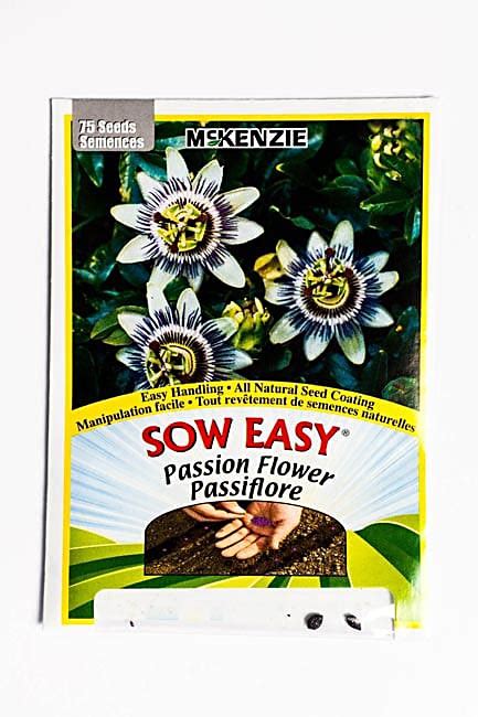 Mckenzie Seeds Catalogue Flower