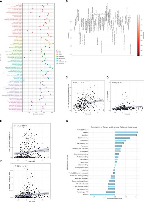 Frontiers Immune Landscape And Prognostic Gene Signatures In Gastric