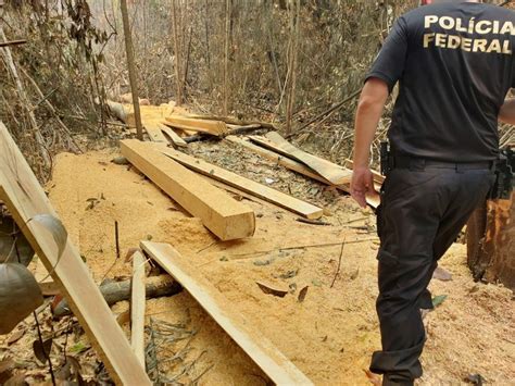 Pf Prende Homens Em Flagrante Por Pr Tica De Queimada Ilegal Pol Cia