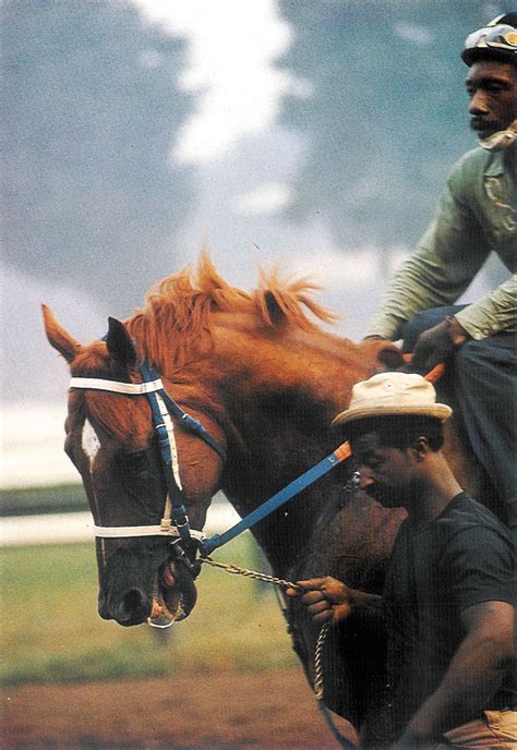 WOOLFE’S SECRETARIAT BOOK STILL ONE TO SAVOR | Virginia Thoroughbred ...