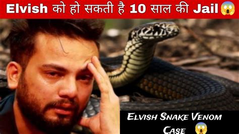 Elvish Yadav को हो सकती है 10 साल Ki Jail 😱 Elvish Yadav Snake Venom