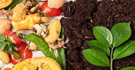 Preparing For The New Food Waste Legislation Uk