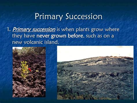 Ecological Succession Ppt Download