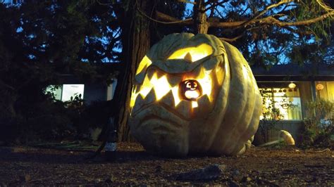 Carving A 570lb Giant Pumpkin Youtube