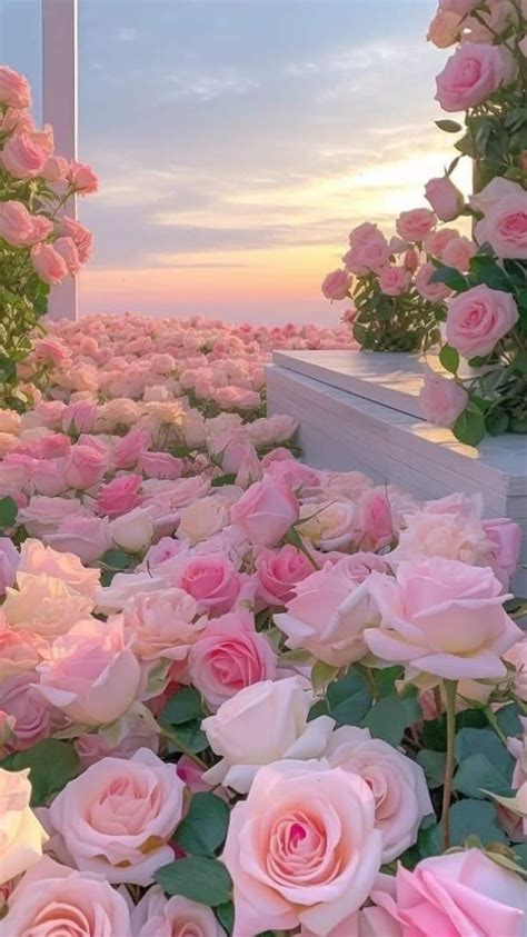 Pin By Ana Rebeca Sanchez On Flowers Are Beautiful In 2023 Beautiful