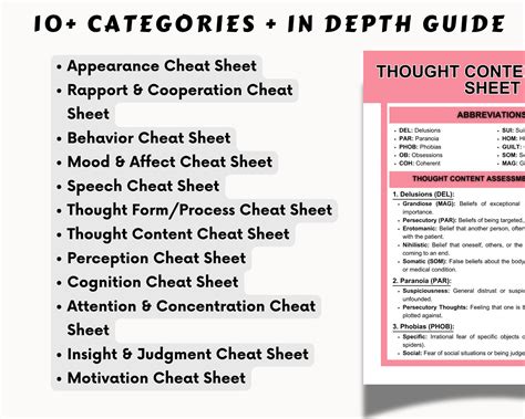 Mental Status Exam Cheat Sheet MSE Reference Sheet MSE Writing Guide