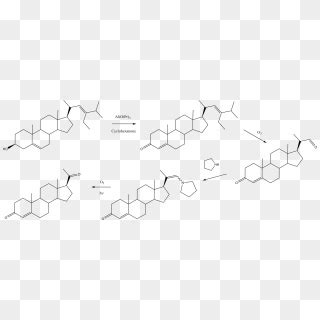 Stigmasterol To Progesterone Synthesis - Conversion Of Cholesterol To ...