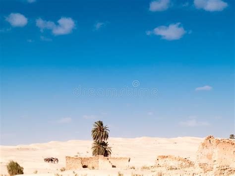 Douz,desert Landscape,sahara,tunisia,africa Stock Photo - Image of tunisia, outdoors: 107367100