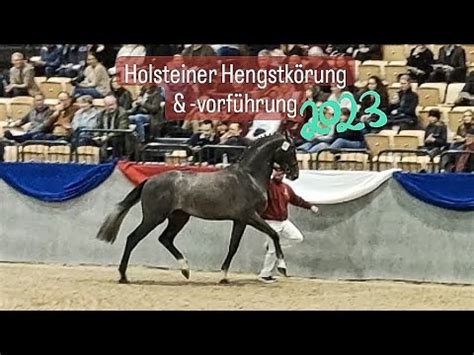 Holsteiner Hengstk Rung Vorf Hrung Pony Posts Youtube