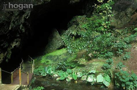 Deer Cave At Mulu National Park