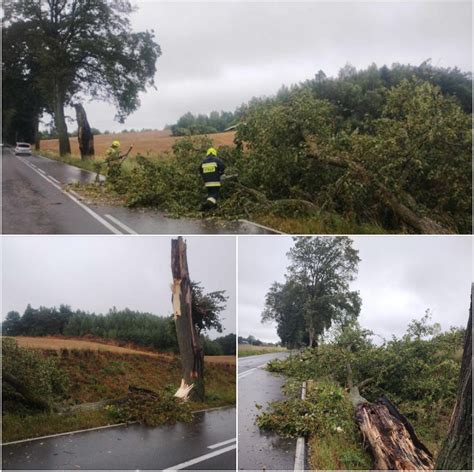 Nawa Nice Na Warmii I Mazurach Powalone Drzewa Podtopienia I