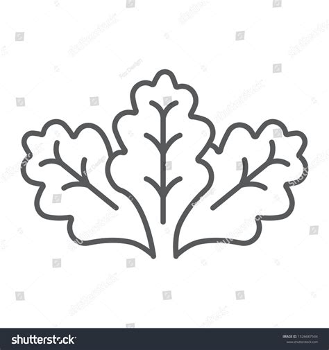 Lettuce Over 96632 Royalty Free Licensable Stock Vectors And Vector Art