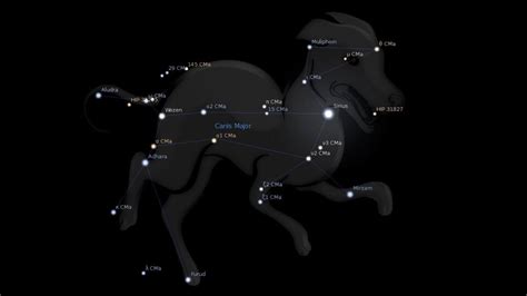 Canis Major Constellation Stars – Astrology King