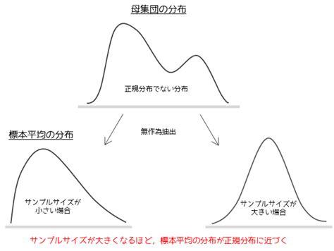 【図解】中心極限定理｜staat