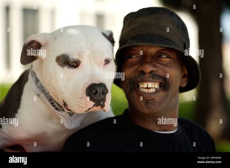 One man and his Dog Stock Photo - Alamy