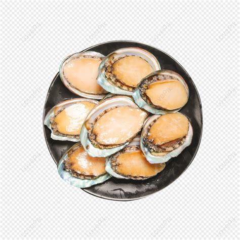 Wild Abalone Gourmet Seafood Appetizer Material Png Transparent