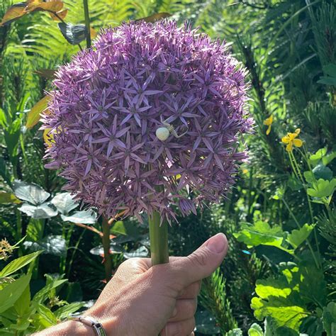 МАГИЯ САДА ландшафтный дизайн - Home | Facebook