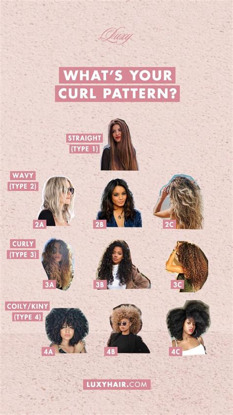 Curl Types: Types Of Curly Hair (Chart) - Luxy® Hair | Hair chart ...