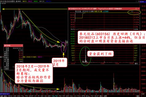 技术规律学系列：限售股解禁和股价走势关系之“养元饮品” 知乎