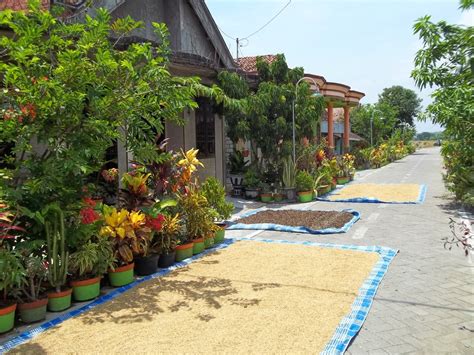 Incredible Cara Berkebun Di Halaman Rumah References