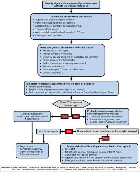 Algorithm Acls Suspected Stroke 200612 Pdf Stroke Emergency 57 Off