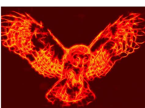 The Fire Owl By Charizard6543 On Deviantart