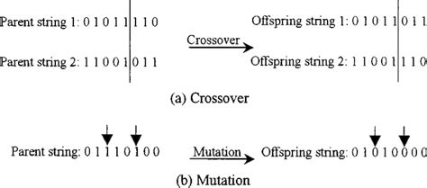 Crossover And Mutation Operations In Genetic Algorithm Download