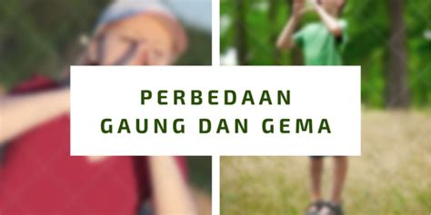 Apa Bedanya Antara Gaung Dan Gema Yok Belajar