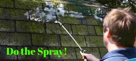 Homemade Moss Killer For Roofs Methods Of Removing Moss