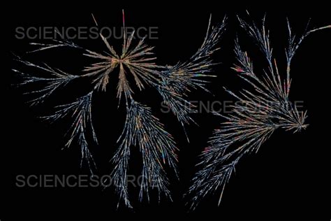 Adenine Crystals LM DNA And RNA Bas Stock Image Science Source