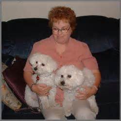 Bichon Frise Puppies For Sale Rolling Meadows Puppies Has Beautiful