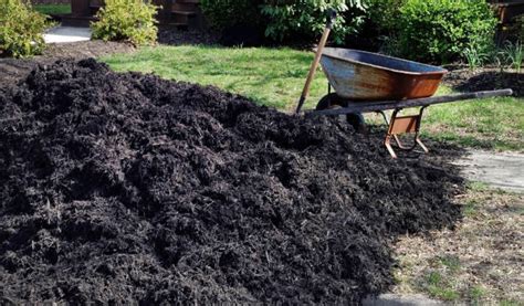 510 Mulch Wheelbarrow Stock Photos Pictures And Royalty Free Images