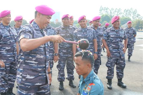 PJS DANYONIF 4 MARINIR PIMPIN UPACARA KENAIKAN PANGKAT PRAJURIT