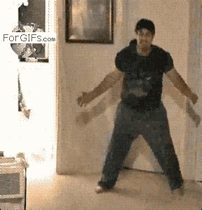 funny pictures hilarious gif wifflegif