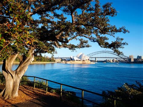 Royal Botanic Garden and the Domain | Sydney, Australia - Official Travel & Accommodation Website