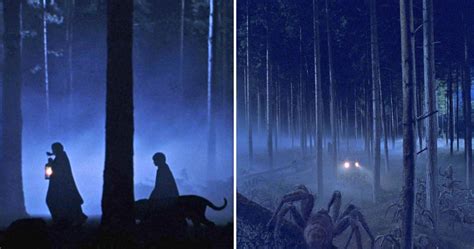 Harry Potter: 10 Forbidden Forest Scenes Cut From The Movies