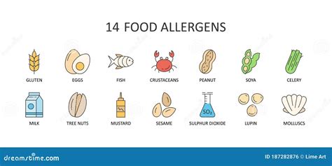 14 Major Food Allergens Icon Vector Set Of 14 Icons With Editable